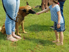 Children-Training-Dogs-3
