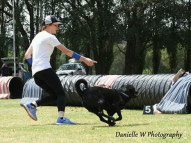 Dog-Agility-Training-13