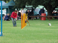 Dog-Agility-Training-20