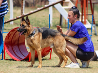 Dog-Agility-Training-3