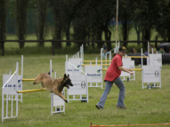 Dog-Agility-Training-41