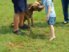 Children-Training-Dogs-2