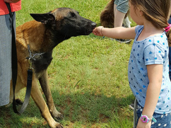 Children-Training-Dogs-4