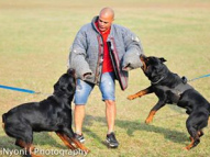 Dog-Protection-Training-25