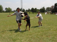 Dog-Protection-Training-50