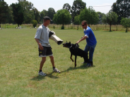 Dog-Protection-Training-51