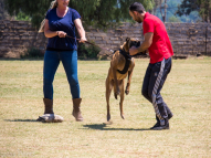 Protection-Training-10