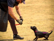 Protection-Training-2