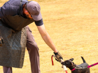 Protection-Training-4