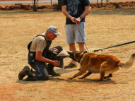 Protection-Training-5
