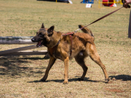 Protection-Training-6