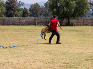 Protection-Training-7