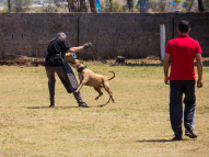Protection-Training-8