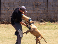 Protection-Training-9