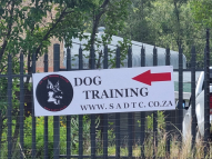 Honeydew-Dog-Training-1
