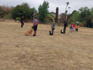 Honeydew-Training1