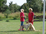 Dog-Training-25