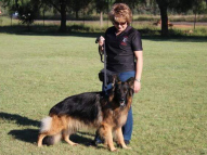 Dog-Training-8