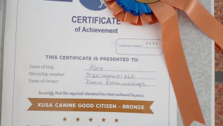 Competition-Training-3