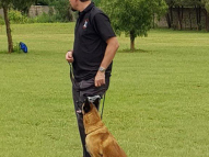 Dog-Obedience-Training-16