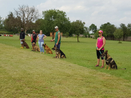 Dog-Obedience-Training-18