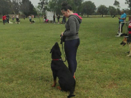 Dog-Obedience-Training-20