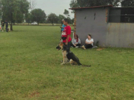Dog-Obedience-Training-21