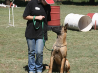 Dog-Obedience-Training-28