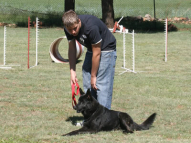 Dog-Obedience-Training-29