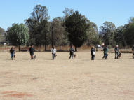 Dog-Obedience-Training-30