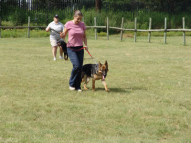 Dog-Obedience-Training-31