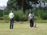 Dog-Obedience-Training-32