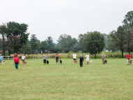 Dog-Obedience-Training-33