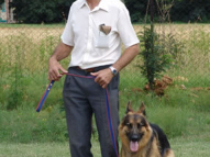 Dog-Obedience-Training-42