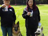 Dog-Obedience-Training-43