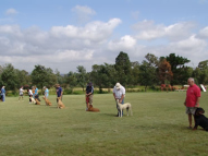 Dog-Obedience-Training-48