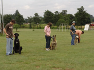 Dog-Obedience-Training-49