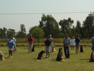 Dog-Obedience-Training-55