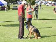 Dog-Obedience-Training-64