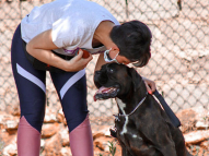 Dog-Obedience-Training-7