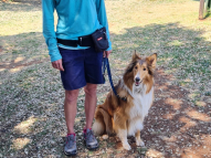 Obedience-Training-2