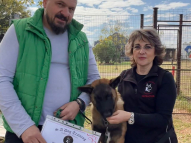 Puppy-Training-13