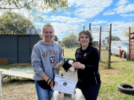 Puppy-Training-14