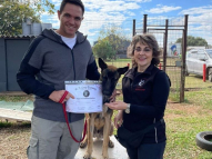 Puppy-Training-15