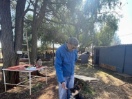 Puppy-Training-2
