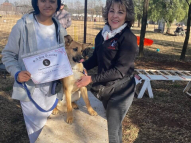 Puppy-Training-5