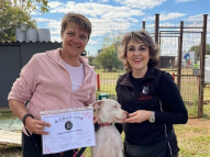 Puppy-Training-7