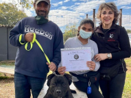 Puppy-Training-8