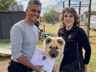 Puppy-Training-9