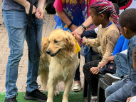 Therapy-Dogs-1